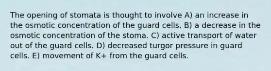 The opening of stomata is thought to involve A) an increase in the osmotic concentration of the guard cells. B) a decrease in the osmotic concentration of the stoma. C) active transport of water out of the guard cells. D) decreased turgor pressure in guard cells. E) movement of K+ from the guard cells.