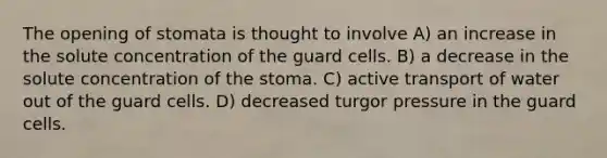 The opening of stomata is thought to involve A) an increase in the solute concentration of the guard cells. B) a decrease in the solute concentration of the stoma. C) active transport of water out of the guard cells. D) decreased turgor pressure in the guard cells.