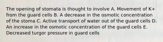 The opening of stomata is thought to involve A. Movement of K+ from the guard cells B. A decrease in the osmotic concentration of the stoma C. Active transport of water out of the guard cells D. An increase in the osmotic concentration of the guard cells E. Decreased turgor pressure in guard cells