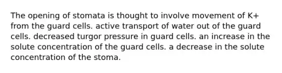 The opening of stomata is thought to involve movement of K+ from the guard cells. active transport of water out of the guard cells. decreased turgor pressure in guard cells. an increase in the solute concentration of the guard cells. a decrease in the solute concentration of the stoma.