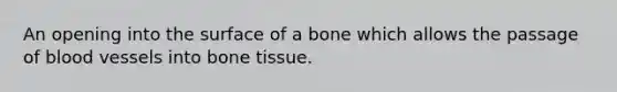 An opening into the surface of a bone which allows the passage of blood vessels into bone tissue.