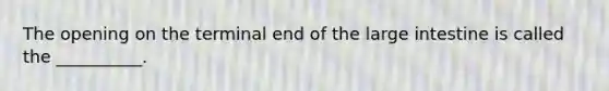 The opening on the terminal end of the large intestine is called the __________.