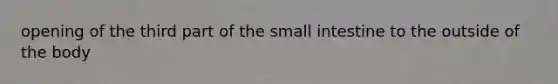 opening of the third part of the small intestine to the outside of the body