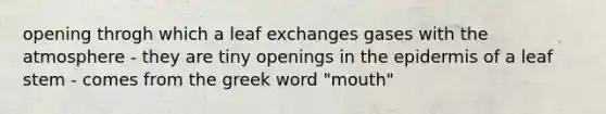 opening throgh which a leaf exchanges gases with the atmosphere - they are tiny openings in the epidermis of a leaf stem - comes from the greek word "mouth"