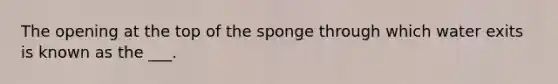 The opening at the top of the sponge through which water exits is known as the ___.