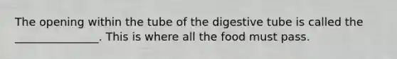 The opening within the tube of the digestive tube is called the _______________. This is where all the food must pass.