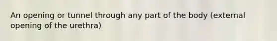 An opening or tunnel through any part of the body (external opening of the urethra)