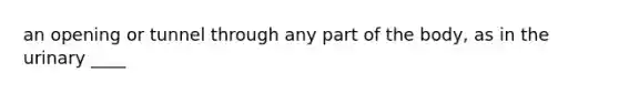 an opening or tunnel through any part of the body, as in the urinary ____