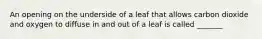 An opening on the underside of a leaf that allows carbon dioxide and oxygen to diffuse in and out of a leaf is called _______