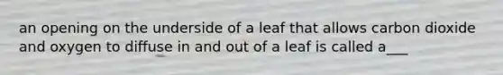 an opening on the underside of a leaf that allows carbon dioxide and oxygen to diffuse in and out of a leaf is called a___