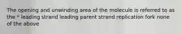 The opening and unwinding area of the molecule is referred to as the * leading strand leading parent strand replication fork none of the above