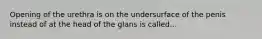 Opening of the urethra is on the undersurface of the penis instead of at the head of the glans is called...