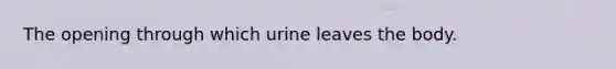 The opening through which urine leaves the body.