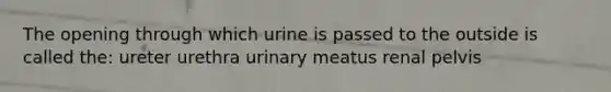 The opening through which urine is passed to the outside is called the: ureter urethra urinary meatus renal pelvis