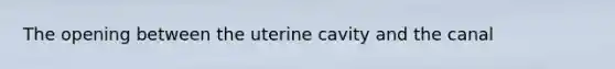 The opening between the uterine cavity and the canal