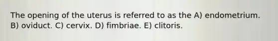 The opening of the uterus is referred to as the A) endometrium. B) oviduct. C) cervix. D) fimbriae. E) clitoris.