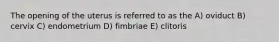 The opening of the uterus is referred to as the A) oviduct B) cervix C) endometrium D) fimbriae E) clitoris