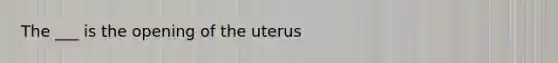 The ___ is the opening of the uterus