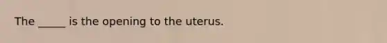 The _____ is the opening to the uterus.