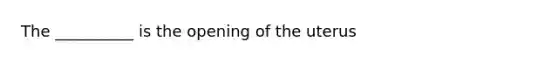 The __________ is the opening of the uterus