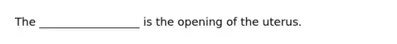 The __________________ is the opening of the uterus.