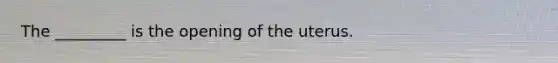 The _________ is the opening of the uterus.