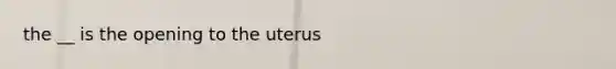 the __ is the opening to the uterus