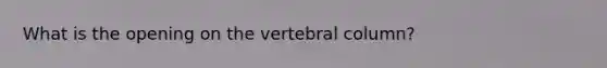 What is the opening on the vertebral column?