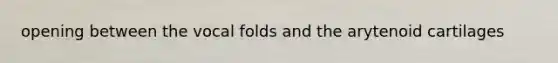 opening between the vocal folds and the arytenoid cartilages
