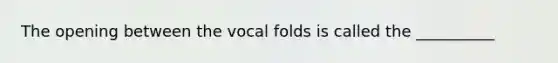 The opening between the vocal folds is called the __________