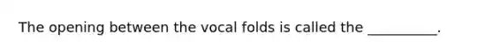 The opening between the vocal folds is called the __________.