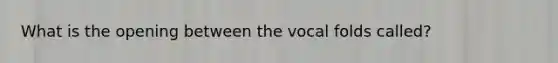 What is the opening between the vocal folds called?