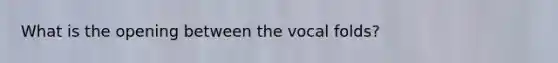 What is the opening between the vocal folds?