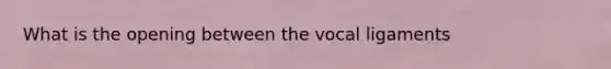 What is the opening between the vocal ligaments