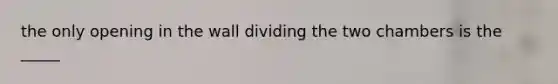 the only opening in the wall dividing the two chambers is the _____