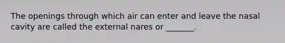 The openings through which air can enter and leave the nasal cavity are called the external nares or _______.