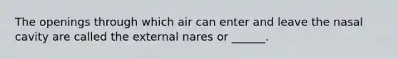 The openings through which air can enter and leave the nasal cavity are called the external nares or ______.