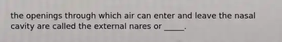 the openings through which air can enter and leave the nasal cavity are called the external nares or _____.