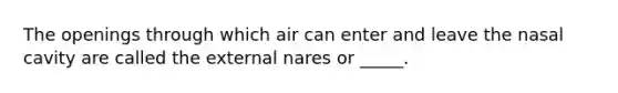 The openings through which air can enter and leave the nasal cavity are called the external nares or _____.