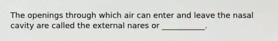 The openings through which air can enter and leave the nasal cavity are called the external nares or ___________.