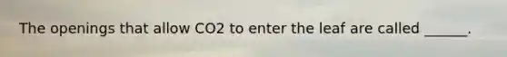 The openings that allow CO2 to enter the leaf are called ______.