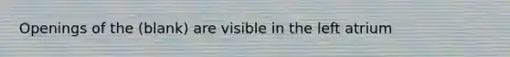 Openings of the (blank) are visible in the left atrium