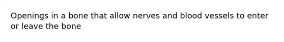 Openings in a bone that allow nerves and blood vessels to enter or leave the bone