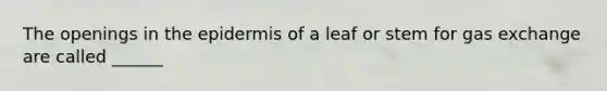 The openings in the epidermis of a leaf or stem for gas exchange are called ______