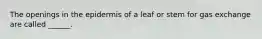 The openings in the epidermis of a leaf or stem for gas exchange are called ______.