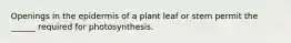 Openings in the epidermis of a plant leaf or stem permit the ______ required for photosynthesis.