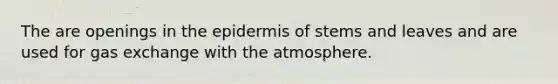 The are openings in the epidermis of stems and leaves and are used for gas exchange with the atmosphere.