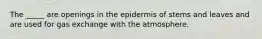 The _____ are openings in the epidermis of stems and leaves and are used for gas exchange with the atmosphere.