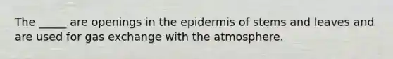 The _____ are openings in the epidermis of stems and leaves and are used for gas exchange with the atmosphere.