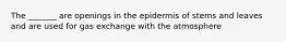 The _______ are openings in the epidermis of stems and leaves and are used for gas exchange with the atmosphere